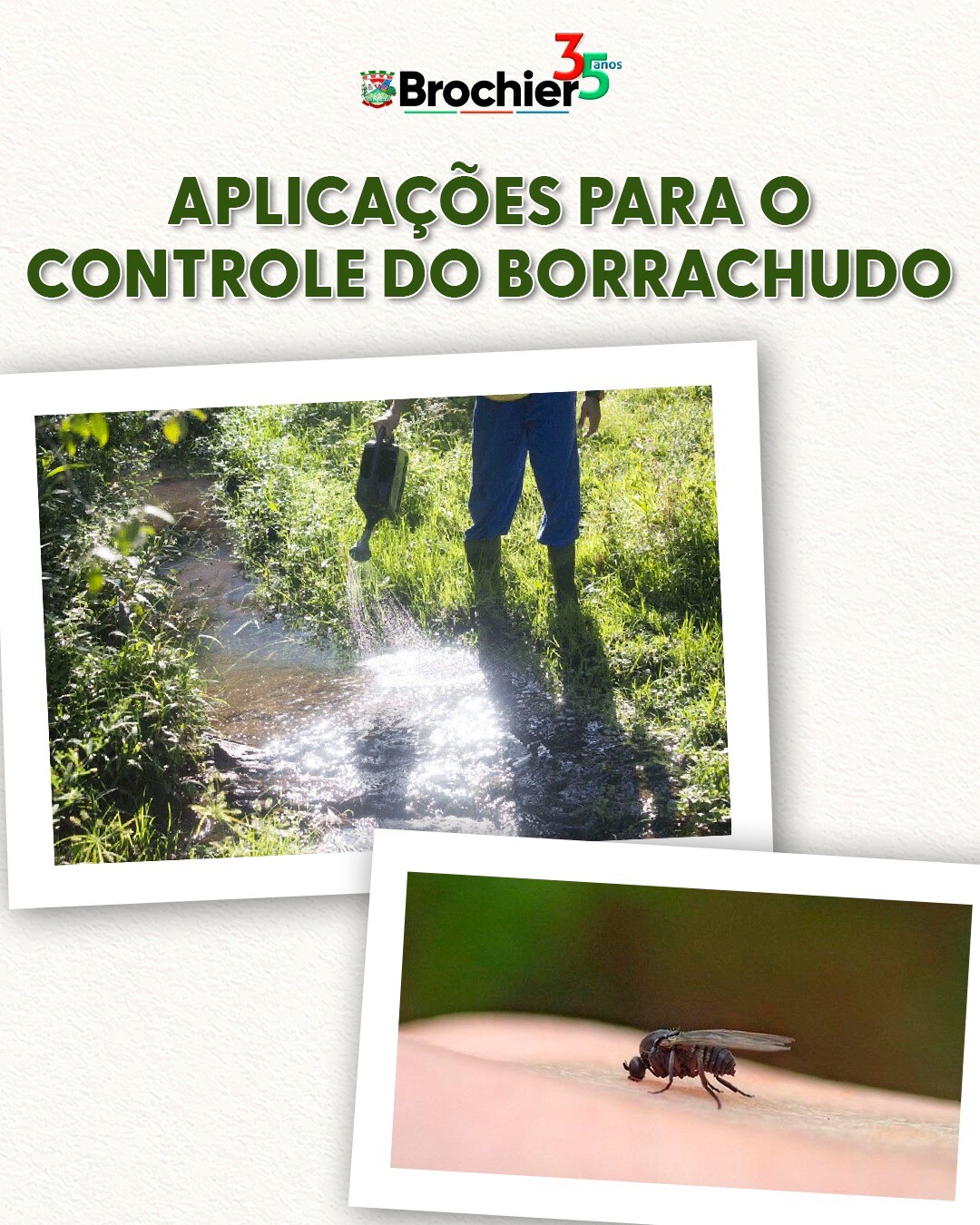 aplicacao-do-bti