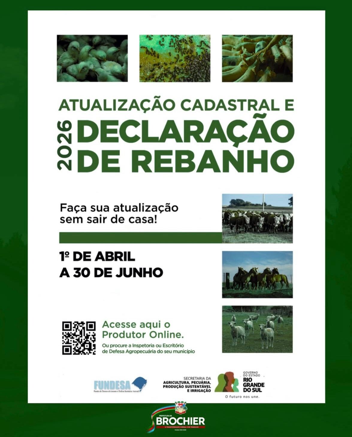 atualizacao-cadastral-e-declaracao-de-rebanho-2026