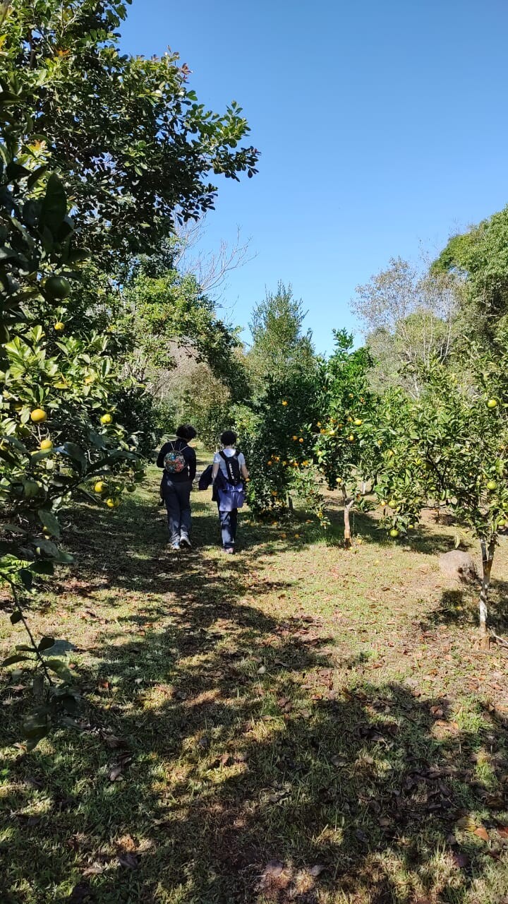 sitio-das-amoras-propriedade-organica